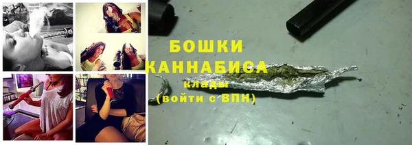 шишки Кодинск