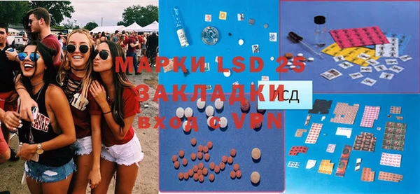 шишки Кодинск