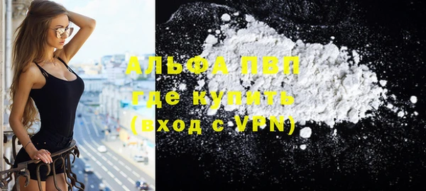шишки Кодинск