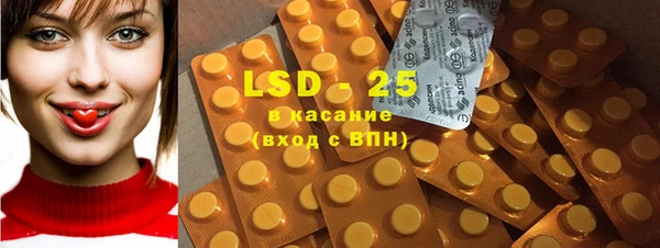 шишки Кодинск