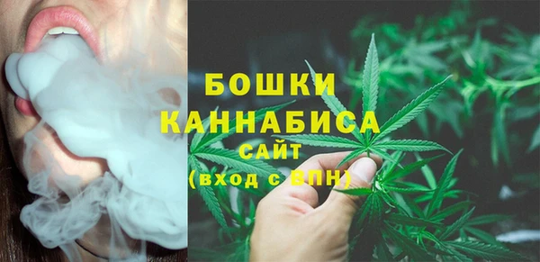 шишки Кодинск